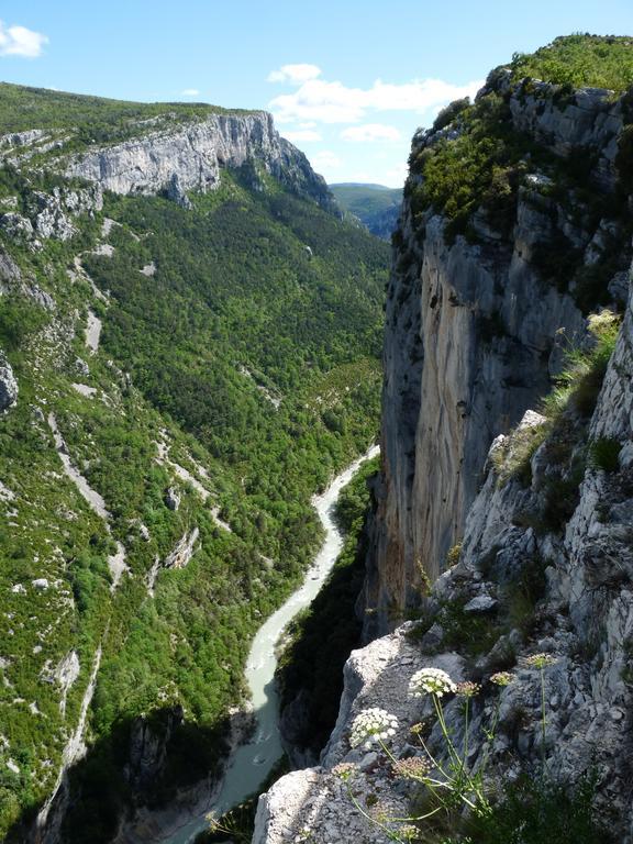 Bed and Breakfast Les Jardins De L'Ermitage Les Salles-sur-Verdon Exterior foto