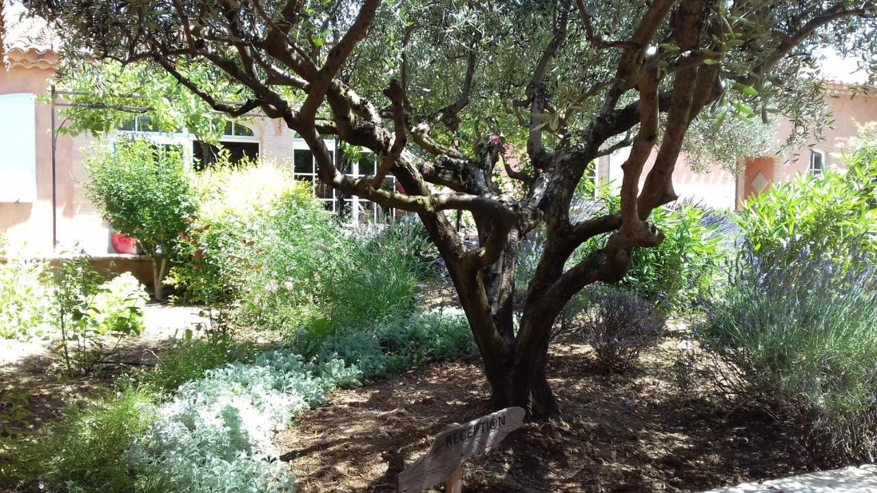 Bed and Breakfast Les Jardins De L'Ermitage Les Salles-sur-Verdon Exterior foto